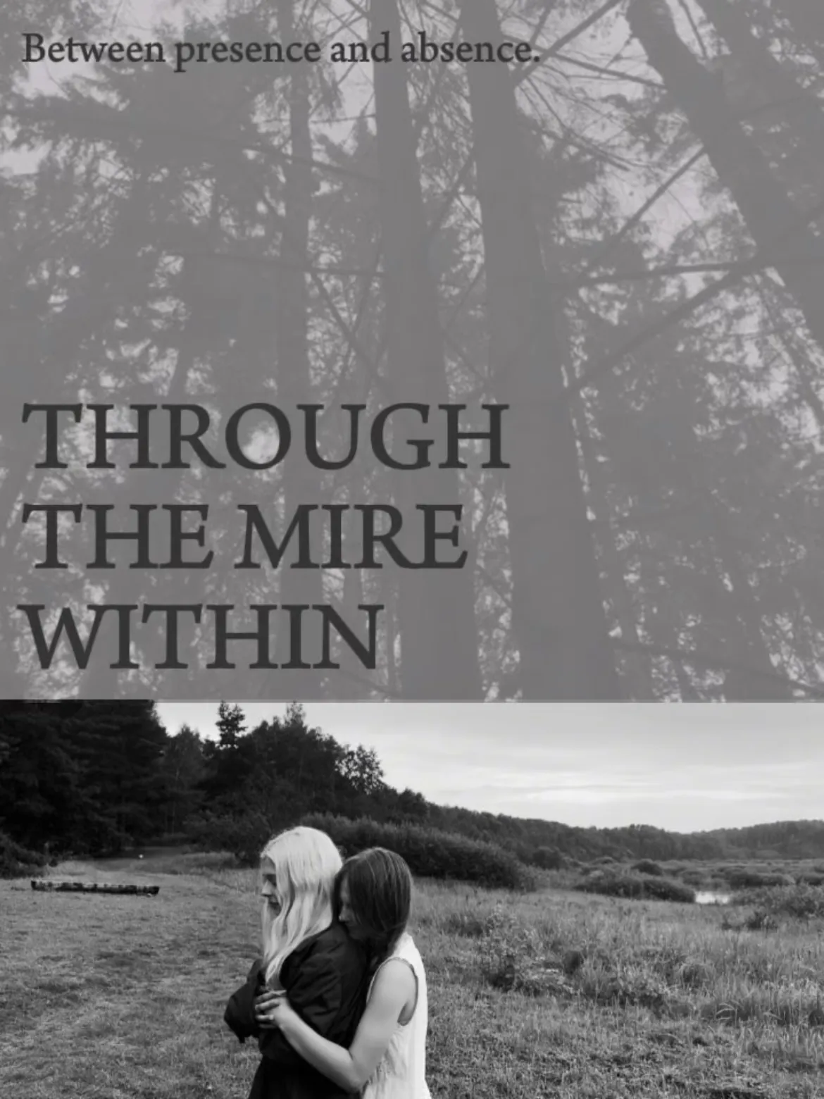 Poster of Through the Mire Within